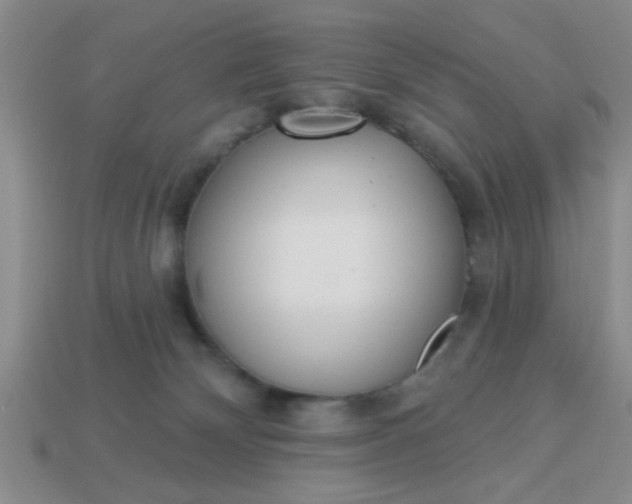 X0000114130132200910221512