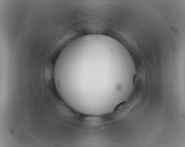 X0000114130133200910221512