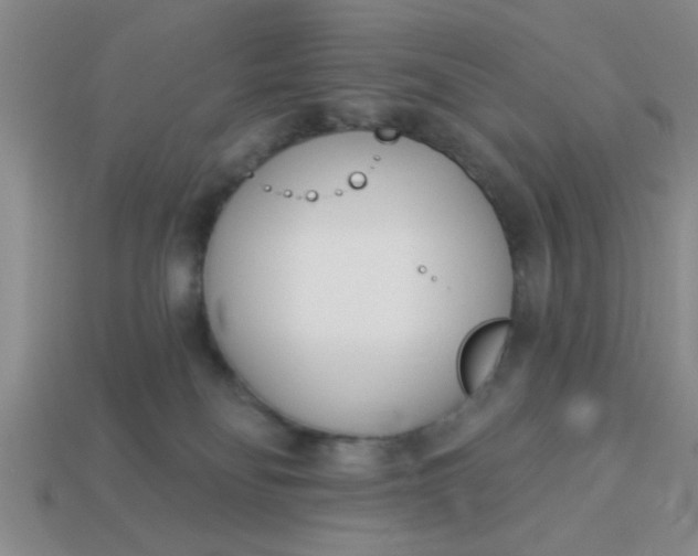 X0000114130134200910221512