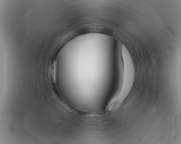 X0000114130137200910221512