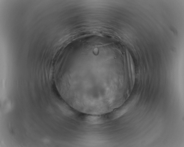 X0000114130139200910221512