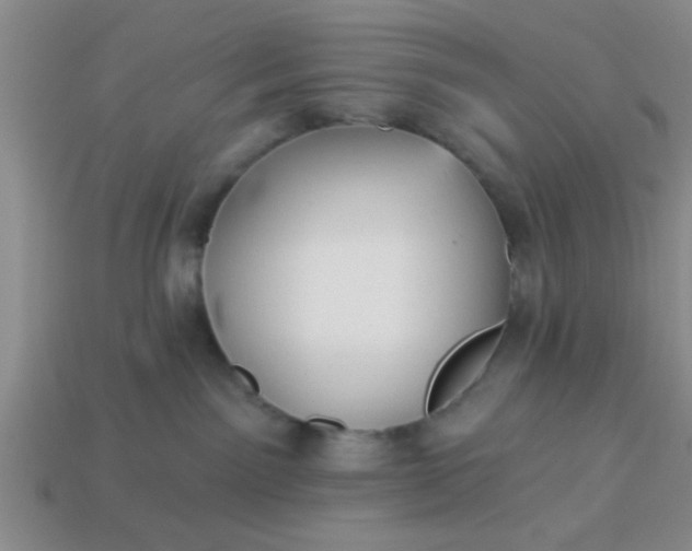 X0000114130141200910221512