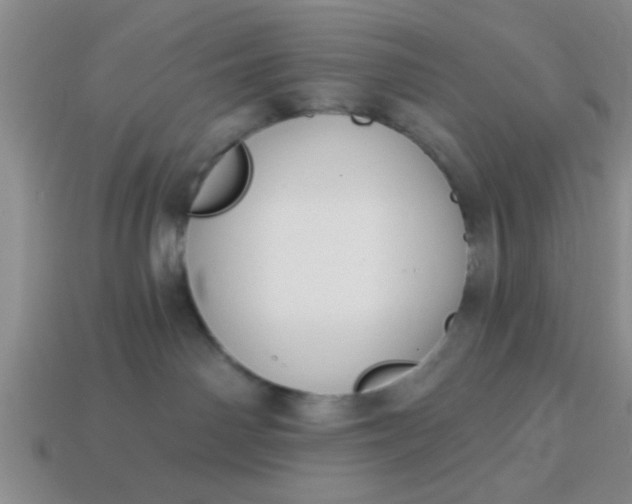 X0000114130142200910221512