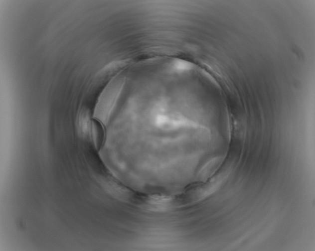 X0000114130143200910221512