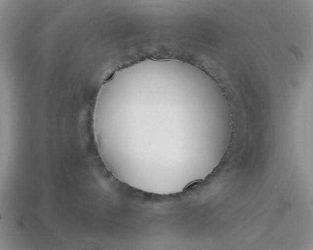 X0000114130144200910221512