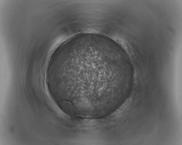 X0000114130145200910221511