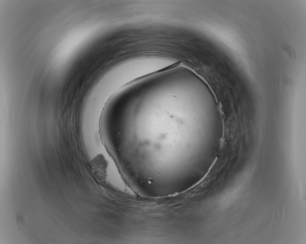 X0000114130146200910221511