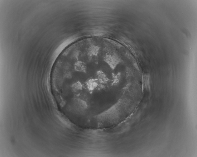 X0000114130147200910221511