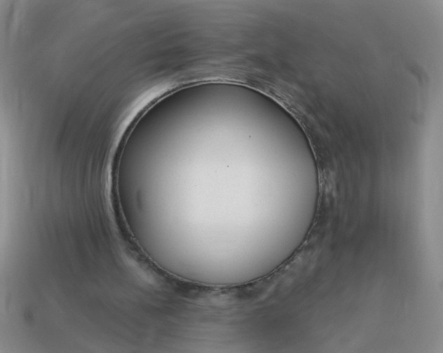 X0000114130148200910221511