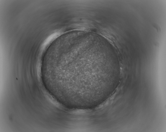 X0000114130149200910221511