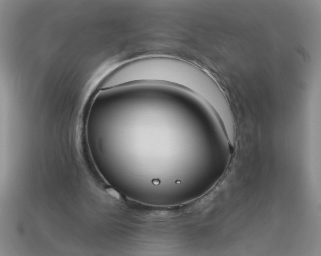 X0000114130152200910221511