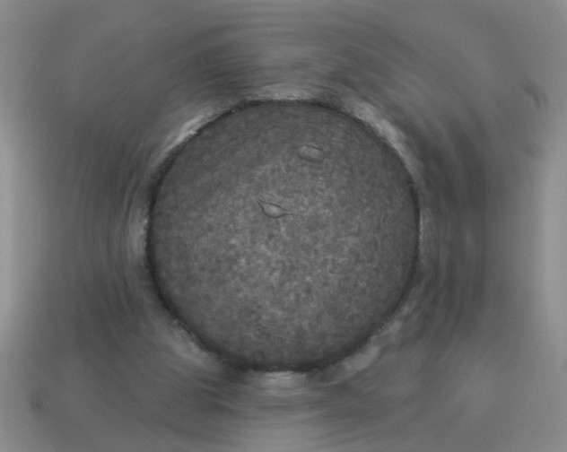 X0000114130153200910221511