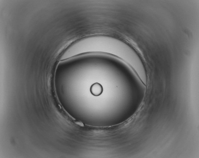 X0000114130154200910221511