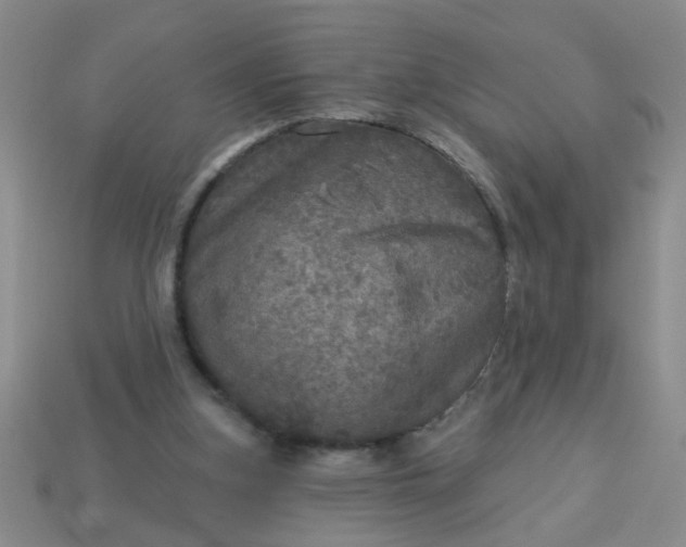 X0000114130155200910221511