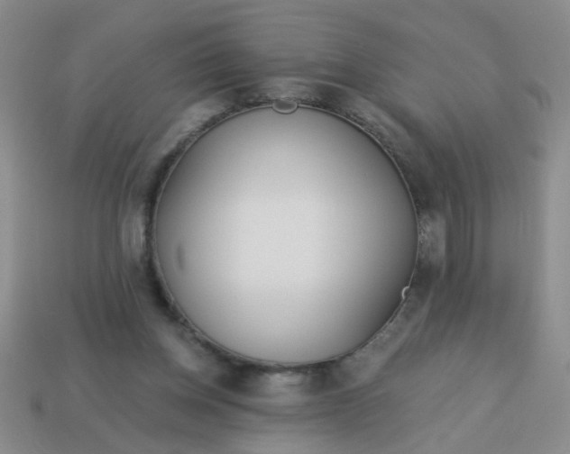 X0000114130158200910221512