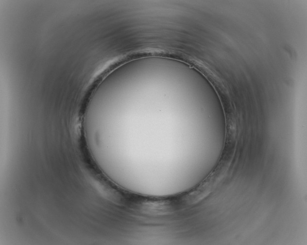 X0000114130160200910221512