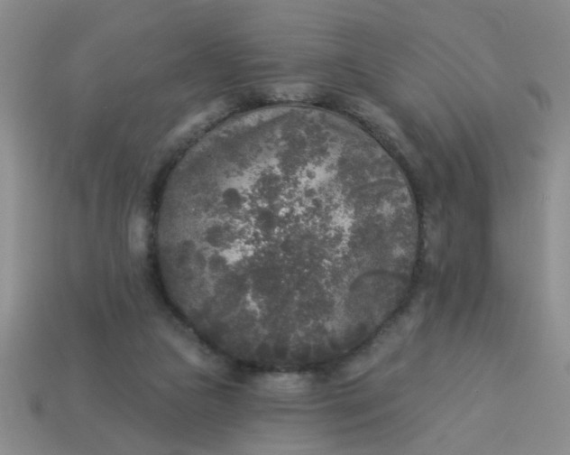 X0000114130161200910221512