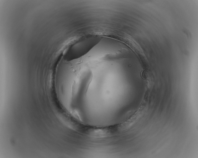 X0000114130163200910221512