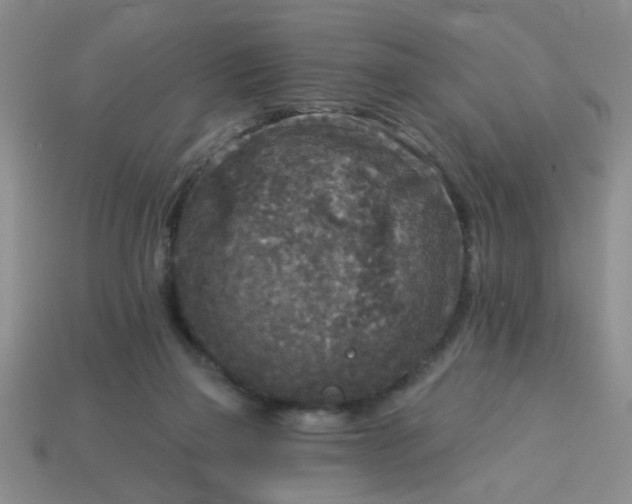 X0000114130165200910221512