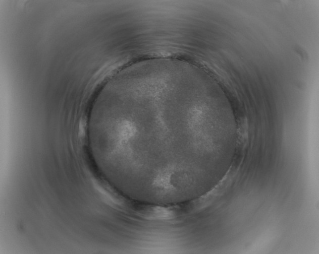 X0000114130166200910221512