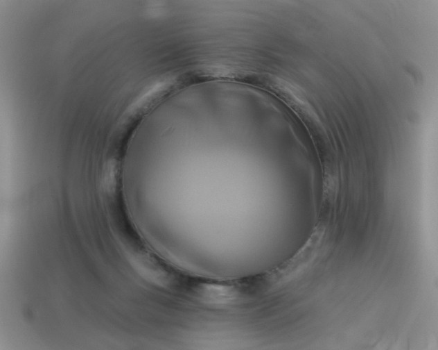 X0000114130167200910221512