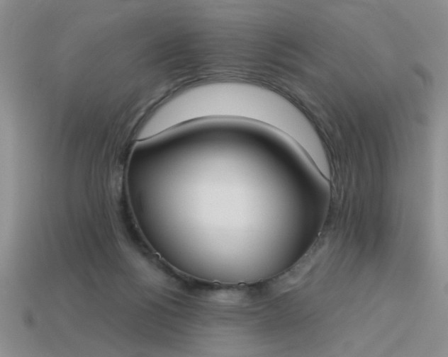 X0000114130168200910221512