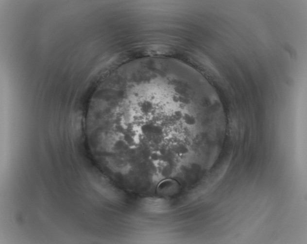 X0000114130169200910221512