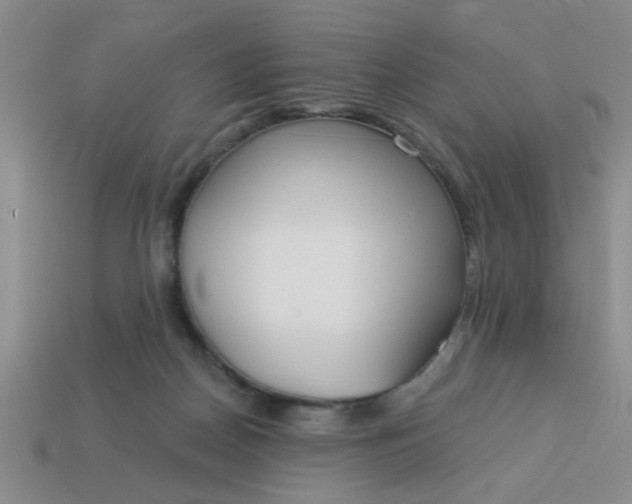 X0000114130170200910221512