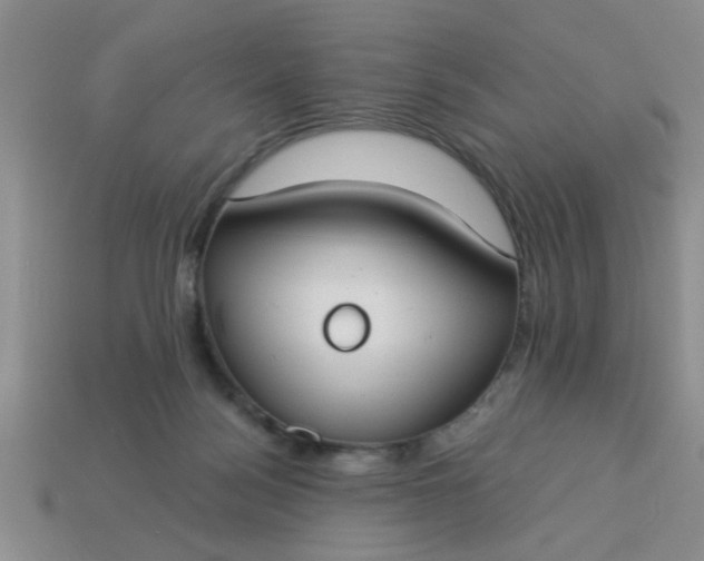 X0000114130172200910221512