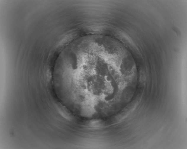 X0000114130173200910221512