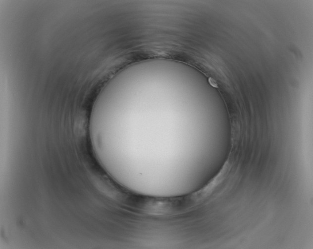 X0000114130174200910221512