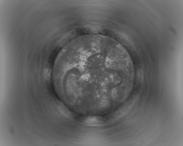 X0000114130177200910221512