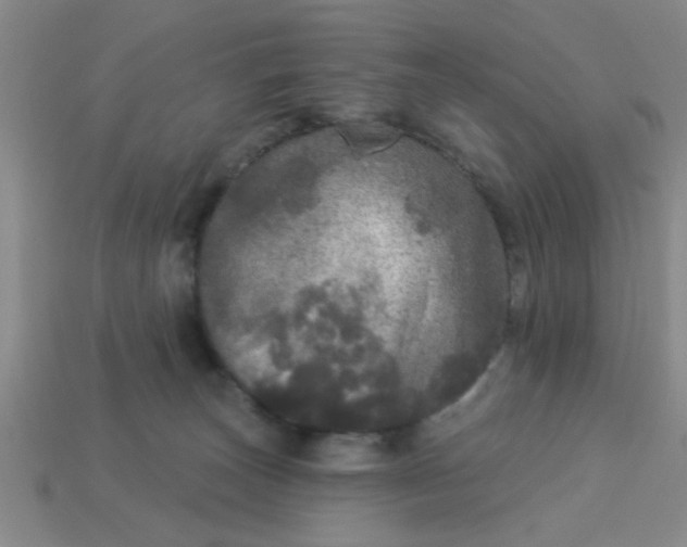 X0000114130179200910221512