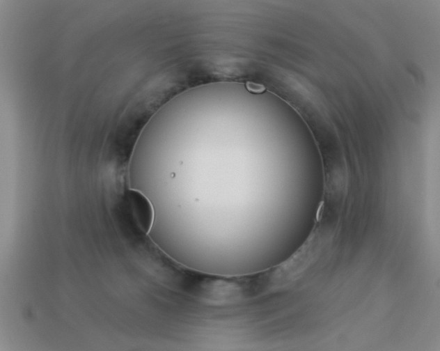 X0000114130180200910221512