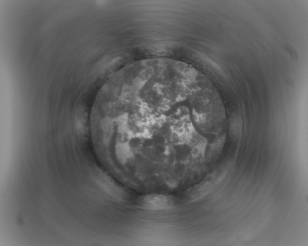 X0000114130181200910221512