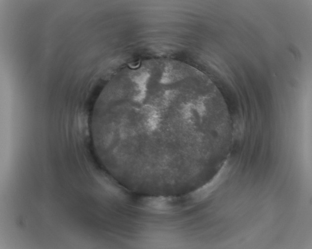 X0000114130182200910221512