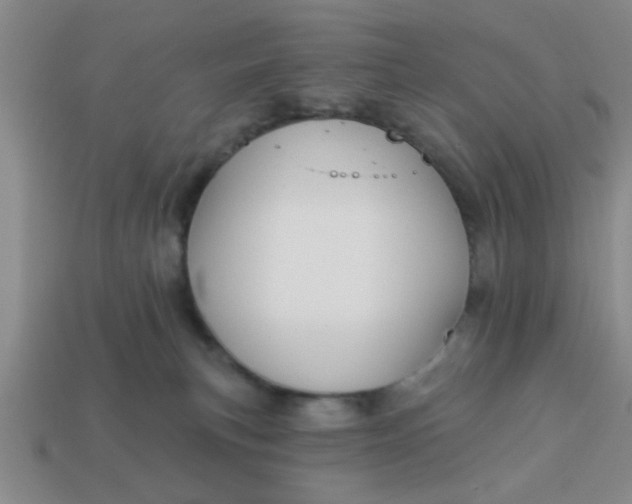 X0000114130183200910221512