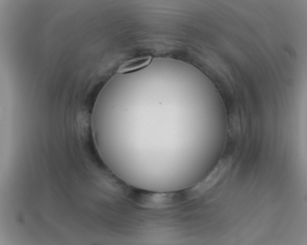 X0000114130184200910221512