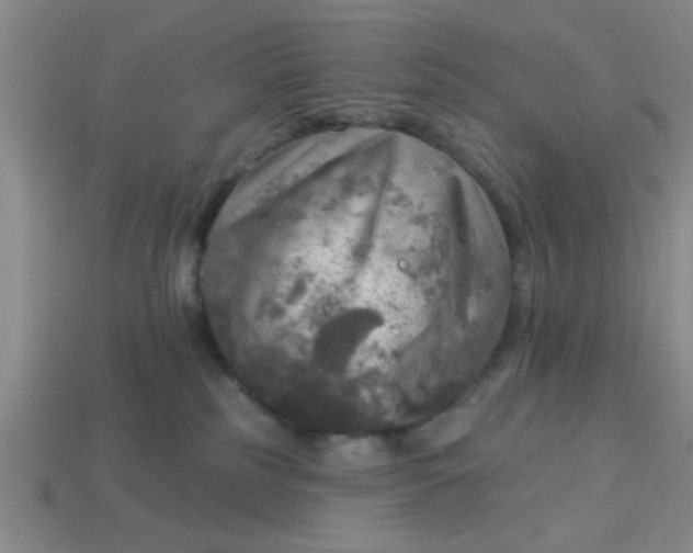 X0000114130185200910221512