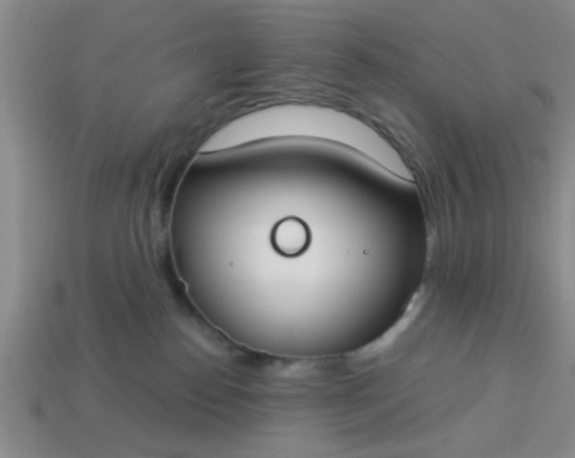 X0000114130186200910221512