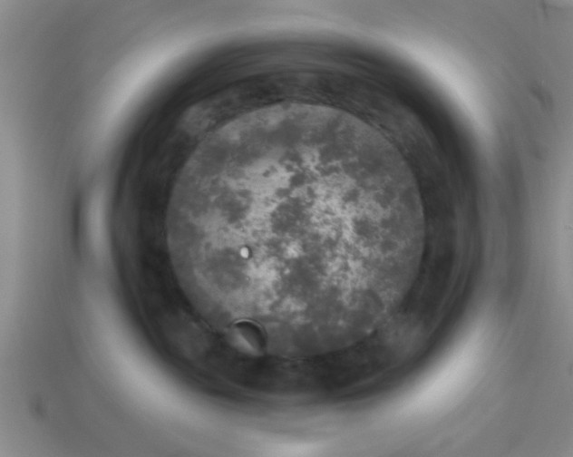 X0000114130189200910221512