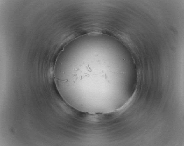 X0000114130190200910221512