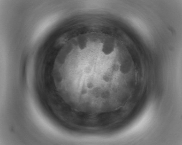 X0000114130191200910221512