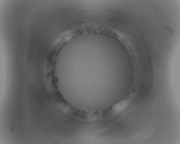 X0000114130192200910221512