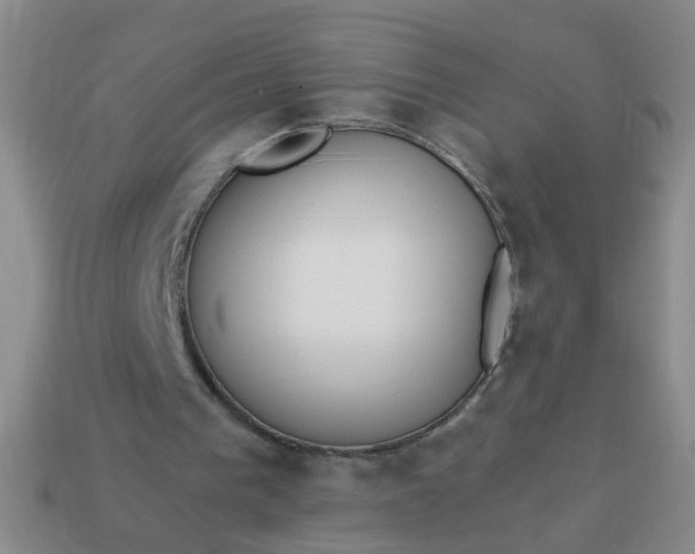 X0000114130193200910221511