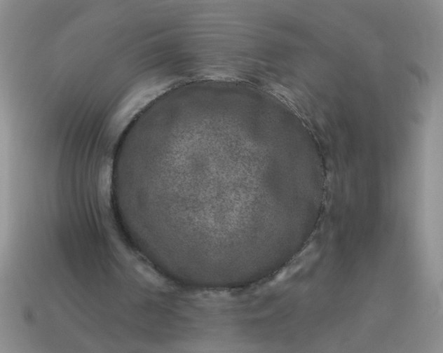 X0000114130194200910221511