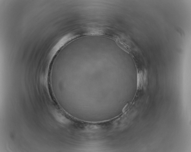 X0000114130195200910221511