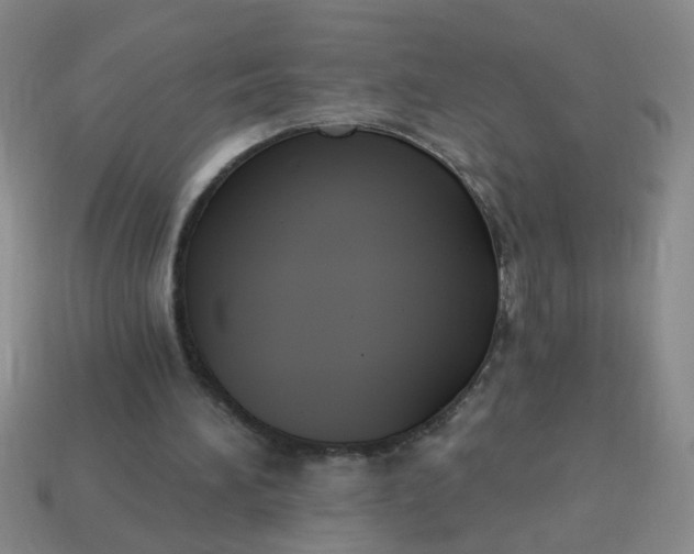 X0000114130196200910221511