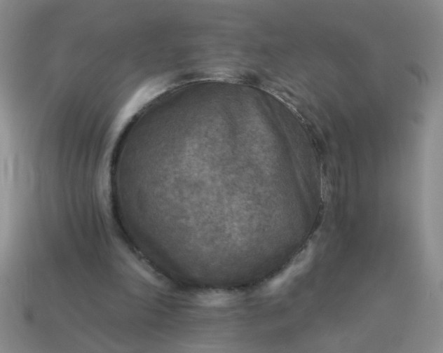 X0000114130198200910221511