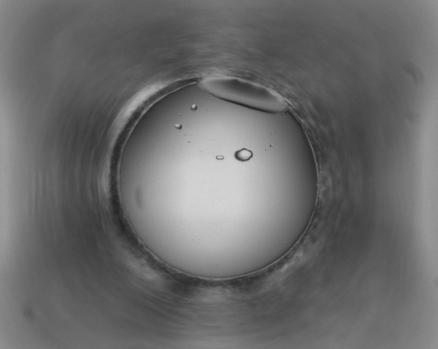 X0000114130200200910221511